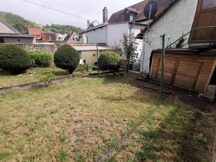 Ferienhaus Mit Garten Und Terrasse, Zentral Und Ruhig Freyburg Exterior photo